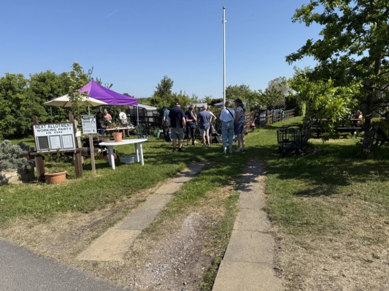 shepherd rd allotments